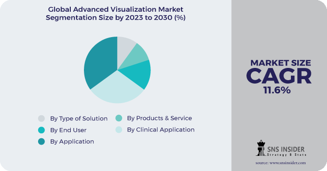 Advanced Visualization Market Segmentation Analysis