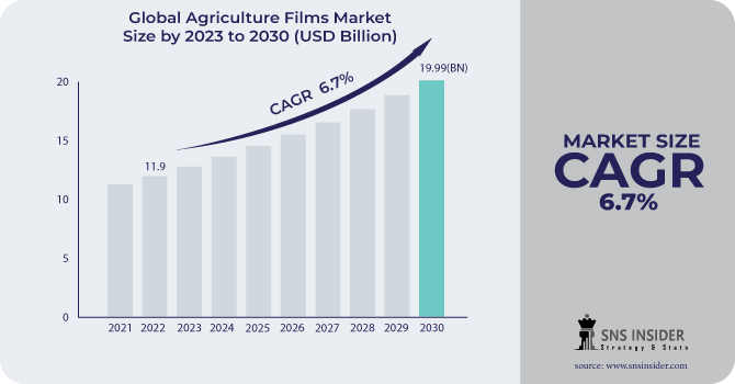 Agriculture Films Market Revenue Analysis