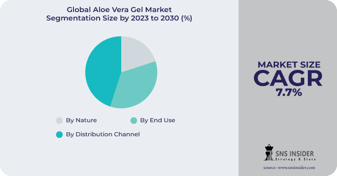 Aloe Vera Gel Market Segmentation Analysis