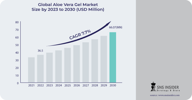 Aloe Vera Gel Market Revenue Analysis