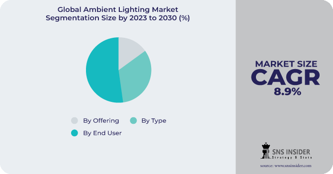 Ambient Lighting Market Segmentation Analysis