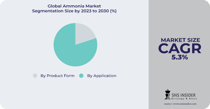 Ammonia Market Segmentation Analysis