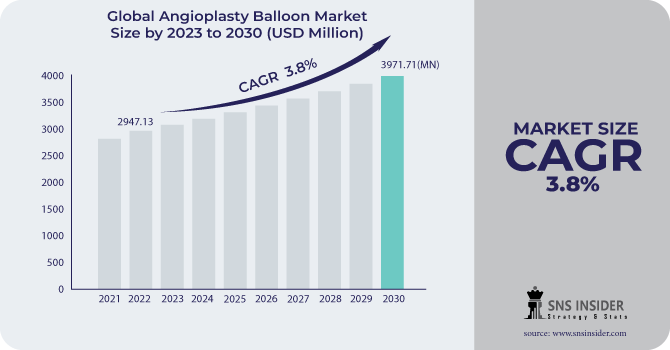 Angioplasty Balloon Market Revenue Analysis