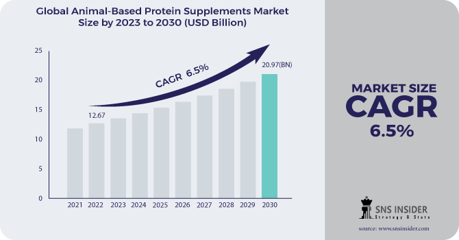 Animal-based Protein Supplements Market Revenue Analysis