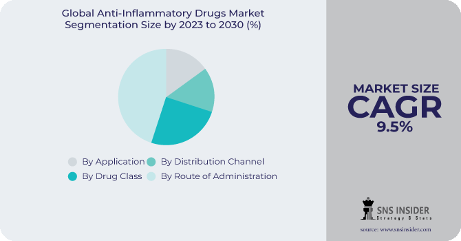 Anti-Inflammatory Drugs Market Segmentation Analysis