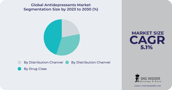 Antidepressants Market Segmentation Analysis