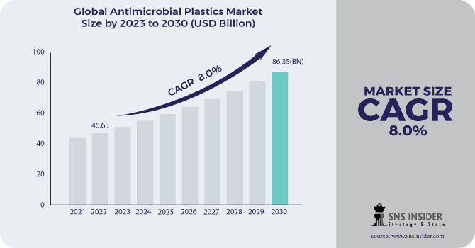 Antimicrobial Plastics Market Revenue Analysis