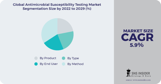 Antimicrobial Susceptibility Testing Market Segmentation Analysis