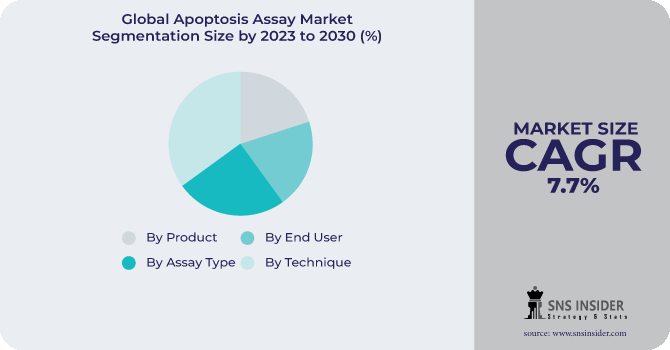 Apoptosis Assay Market Segmentation Analysis