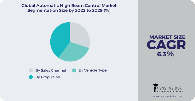 Automatic High Beam Control Market Segmentation Analysis