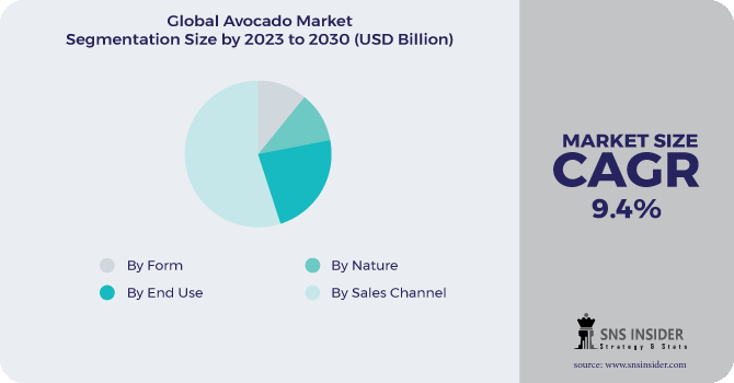 Avocado Market Segmentation Analysis