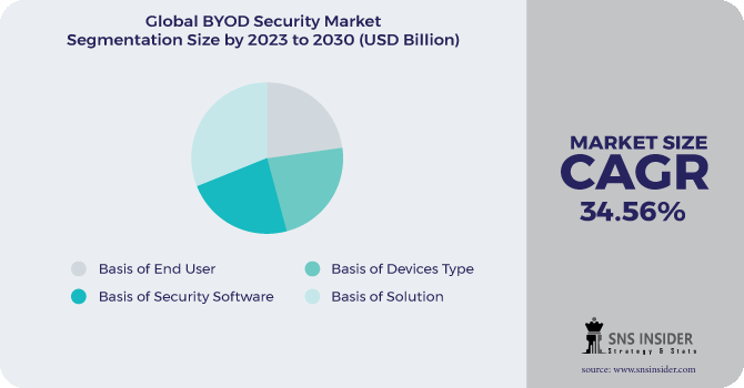 BYOD Security Market Segmentation Analysis