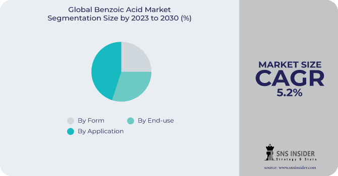 Benzoic Acid Market Segmentation Analysis