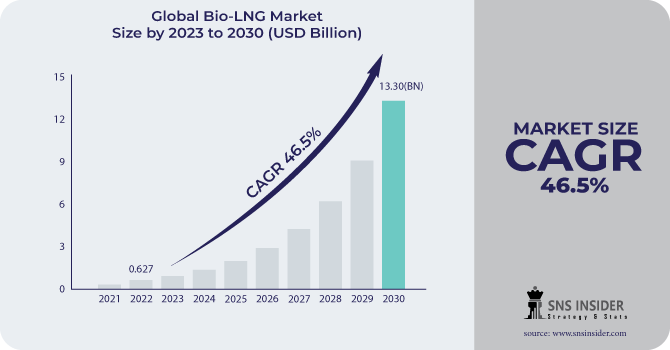 Bio-LNG Market Revenue Analysis