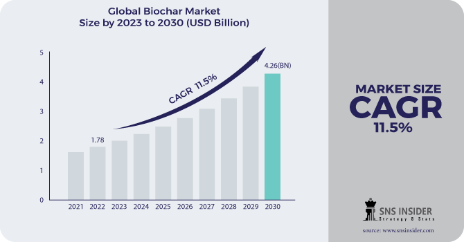 Biochar Market Revenue Analysis