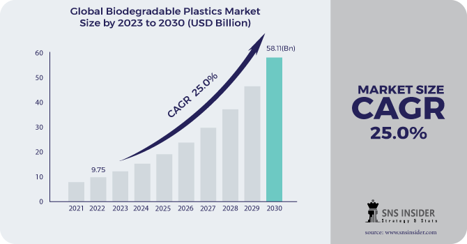 Biodegradable Plastics Market Revenue Analysis