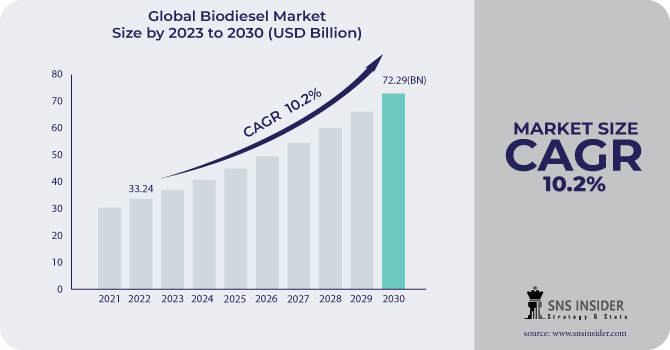 Biodiesel Market Revenue Analysis