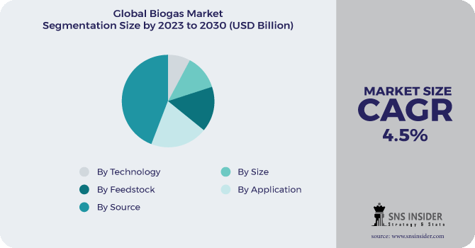 Biogas Market Segmentation Analysis