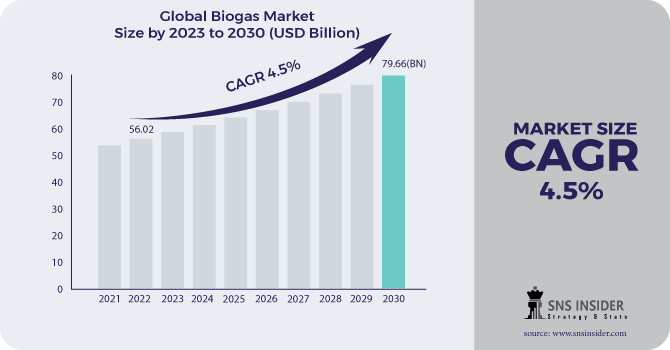 Biogas Market Revenue Analysis