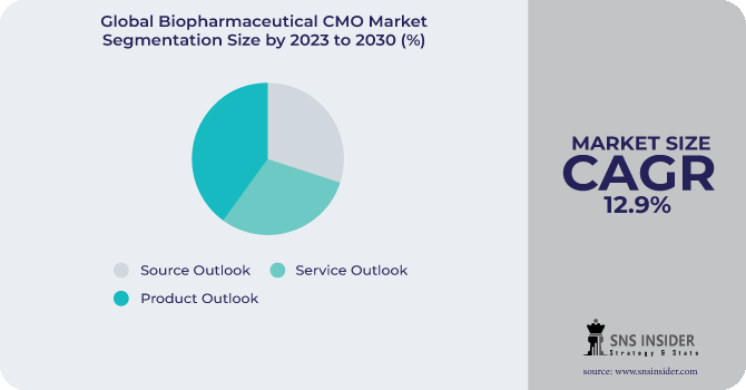 Biopharmaceutical CMO Market Segmentation Analysis