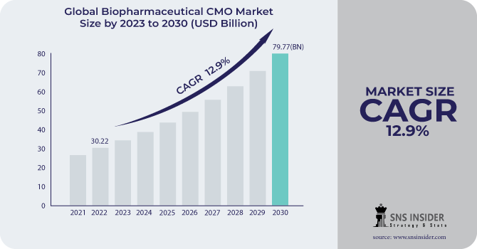 Biopharmaceutical CMO Market Revenue Analysis