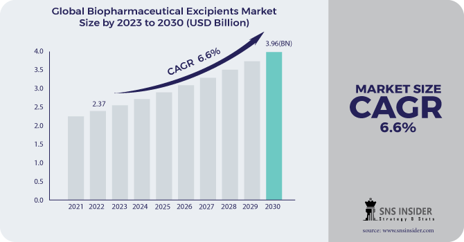 Biopharmaceutical Excipients Market Revenue Analysis