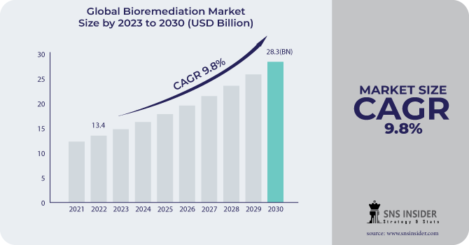 Bioremediation Market Revenue Analysis