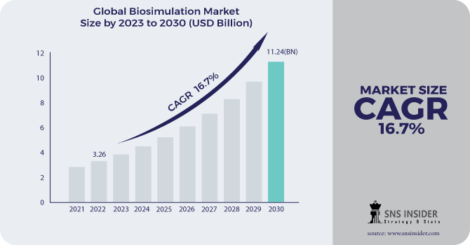 Biosimulation Market Revenue Analysis