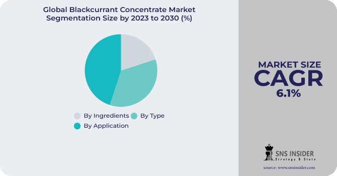 Blackcurrant Concentrate Market Segmentation Analysis