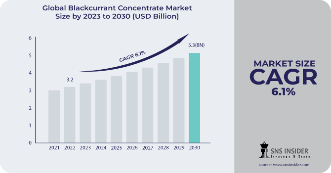 Blackcurrant Concentrate Market Revenue Analysis