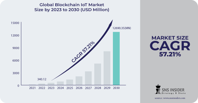 Blockchain IoT Market Revenue Analysis