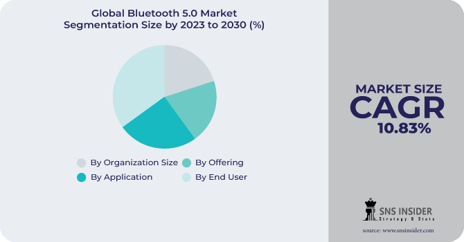 Bluetooth 5.0 Market Segmentation Analysis