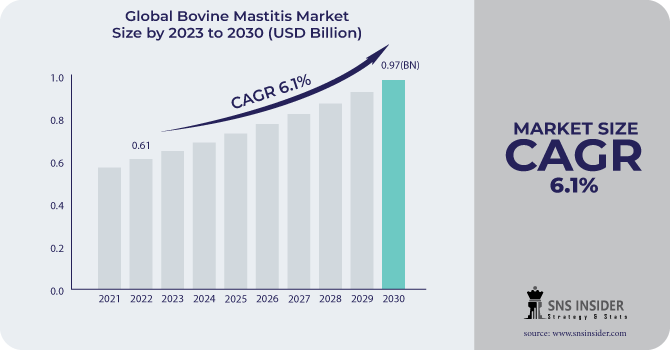 Bovine Mastitis Market Revenue Analysis