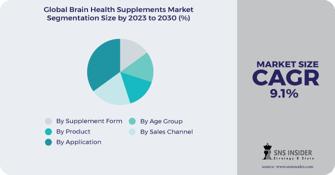 Brain Health Supplements Market Segmentation Analysis