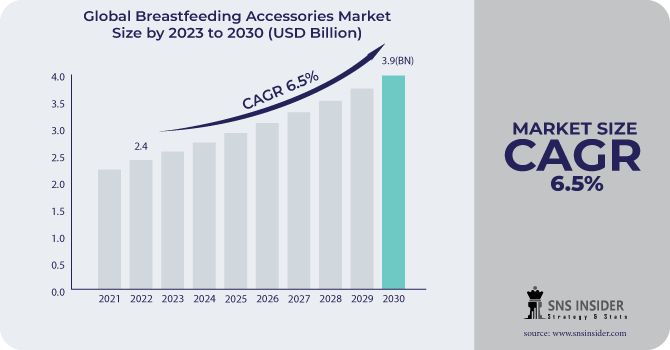 Breastfeeding Accessories Market Revenue Analysis