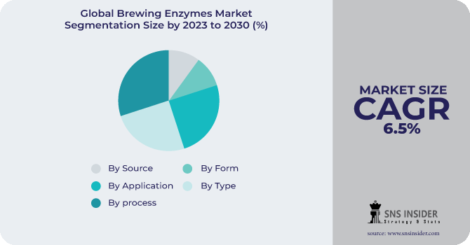 Brewing Enzymes Market Segmentation Analysis