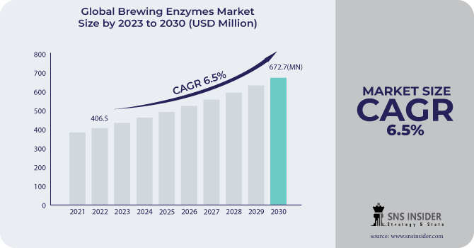 Brewing Enzymes Market Revenue Analysis