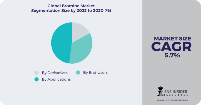 Bromine Market Segmentation Analysis