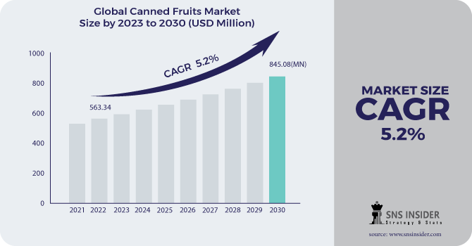 Canned Fruits Market Revenue Analysis