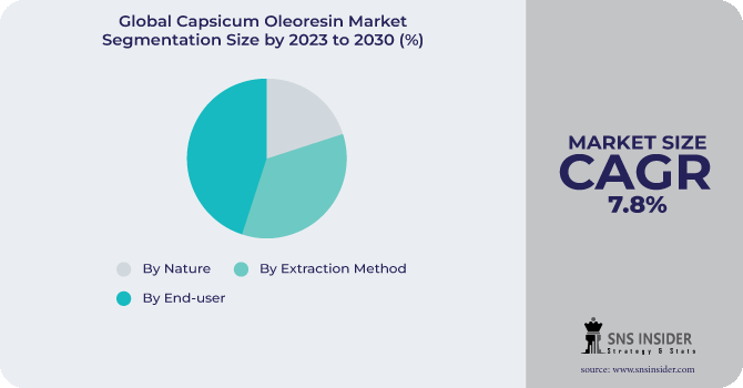 Capsicum Oleoresin Market Segmentation Analysis