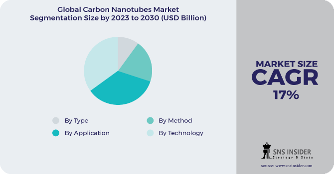 Carbon Nanotubes (CNT) Market Segmentation Analysis