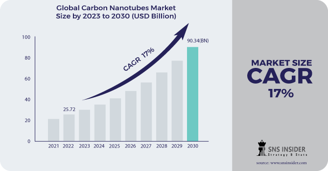 Carbon Nanotubes (CNT) Market Revenue Analysis