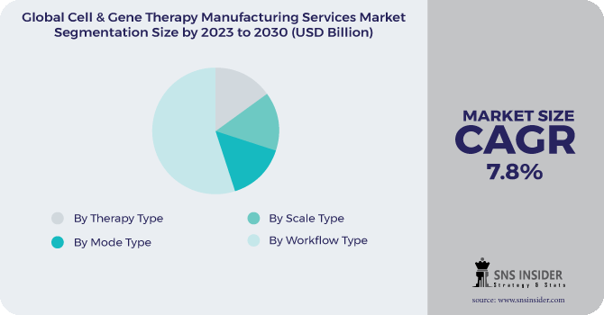 Cell & Gene Therapy Manufacturing Services Market Segmentation Analysis 