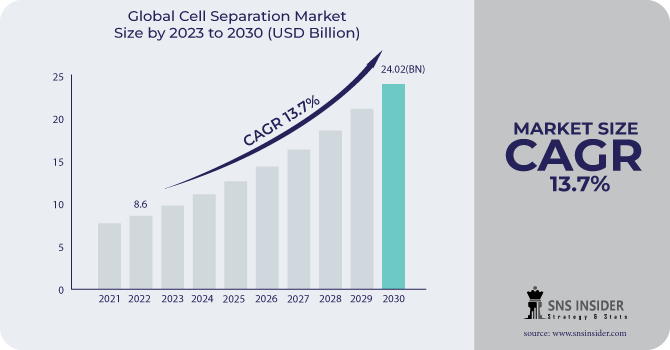 Cell Separation Market Revenue Analysis