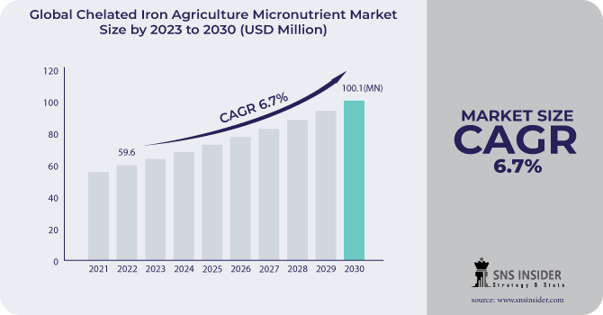 Chelated Iron Agriculture Micronutrient Market Revenue Analysis