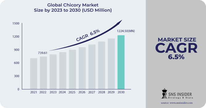 Chicory Market Revenue Analysis