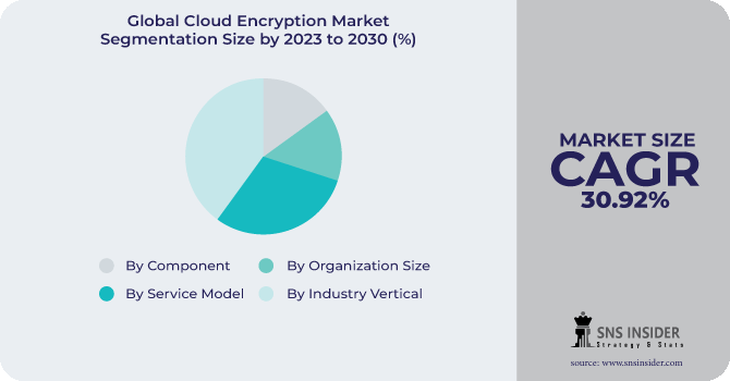 Cloud Encryption Market Segmentation Analysis