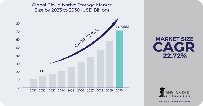 Cloud Native Storage Market Revenue Analysis