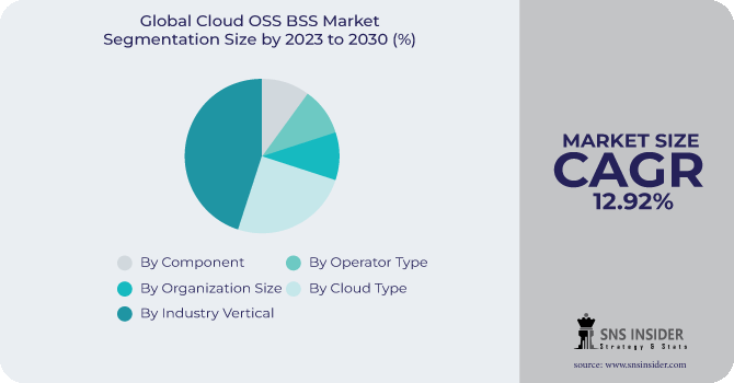 Cloud OSS BSS Market Segmentation Analysis
