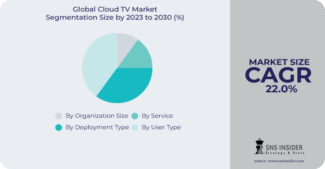 Cloud TV Market Segmentation Analysis